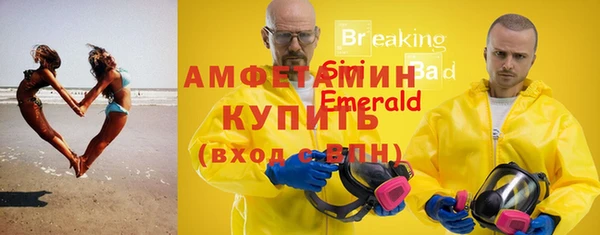 амф Верхний Тагил