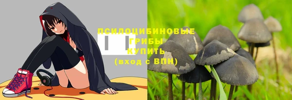 спайс Алексеевка