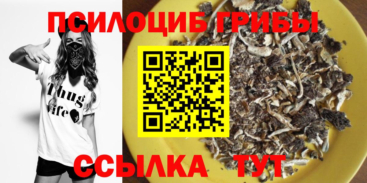 Галлюциногенные грибы Cubensis  Галлюциногенные грибы Psilocybine cubensis  Глазов  Вход с VPN 