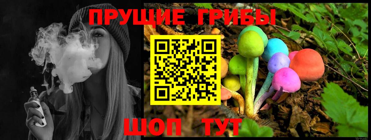 Псилоцибиновые грибы Psilocybine cubensis  наркошоп  Глазов 