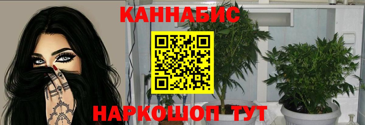 Бошки марихуана план Глазов